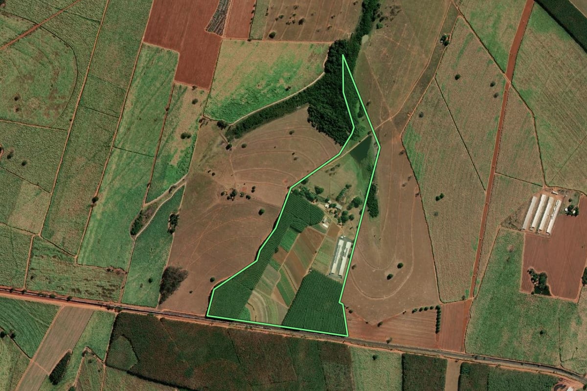 Imagem de satélite do imóvel rural em Monte Aprazível (SP), com o contorno declarado no CAR desenhado por cima.