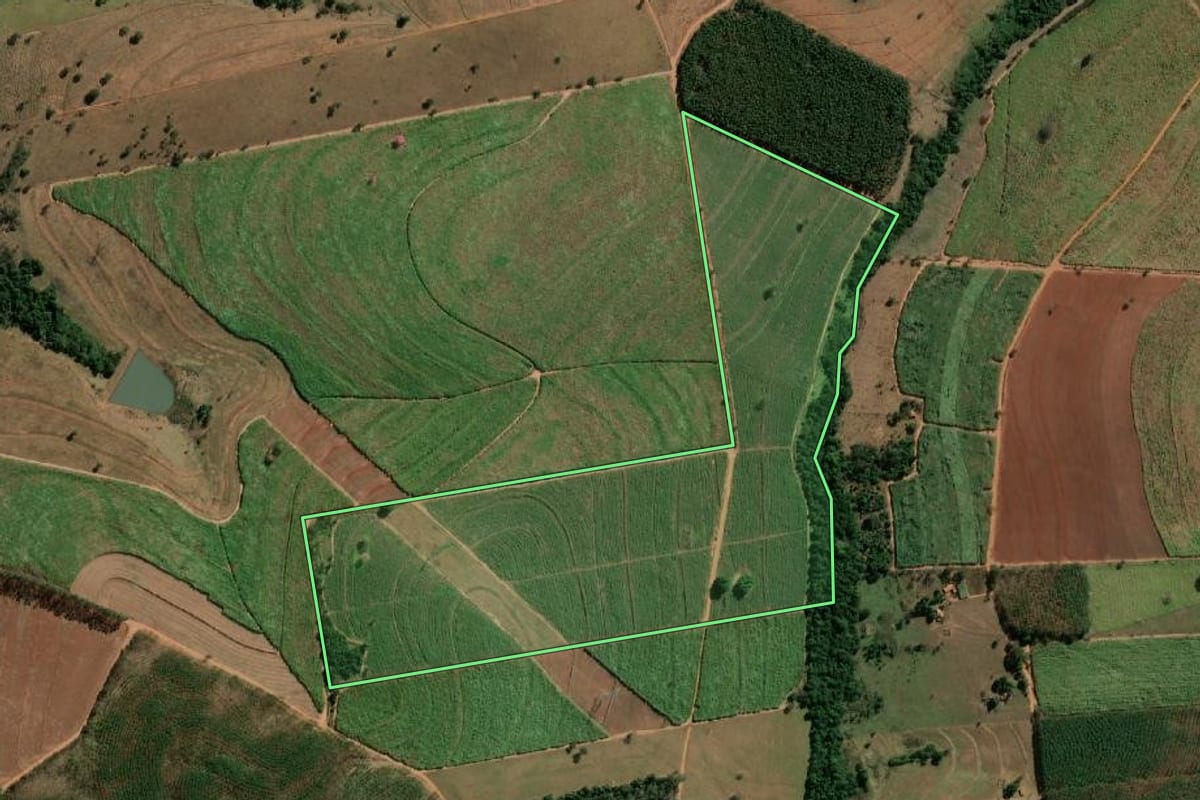 Imagem de satélite do imóvel rural em Monte Aprazível (SP), com o contorno declarado no CAR desenhado por cima.