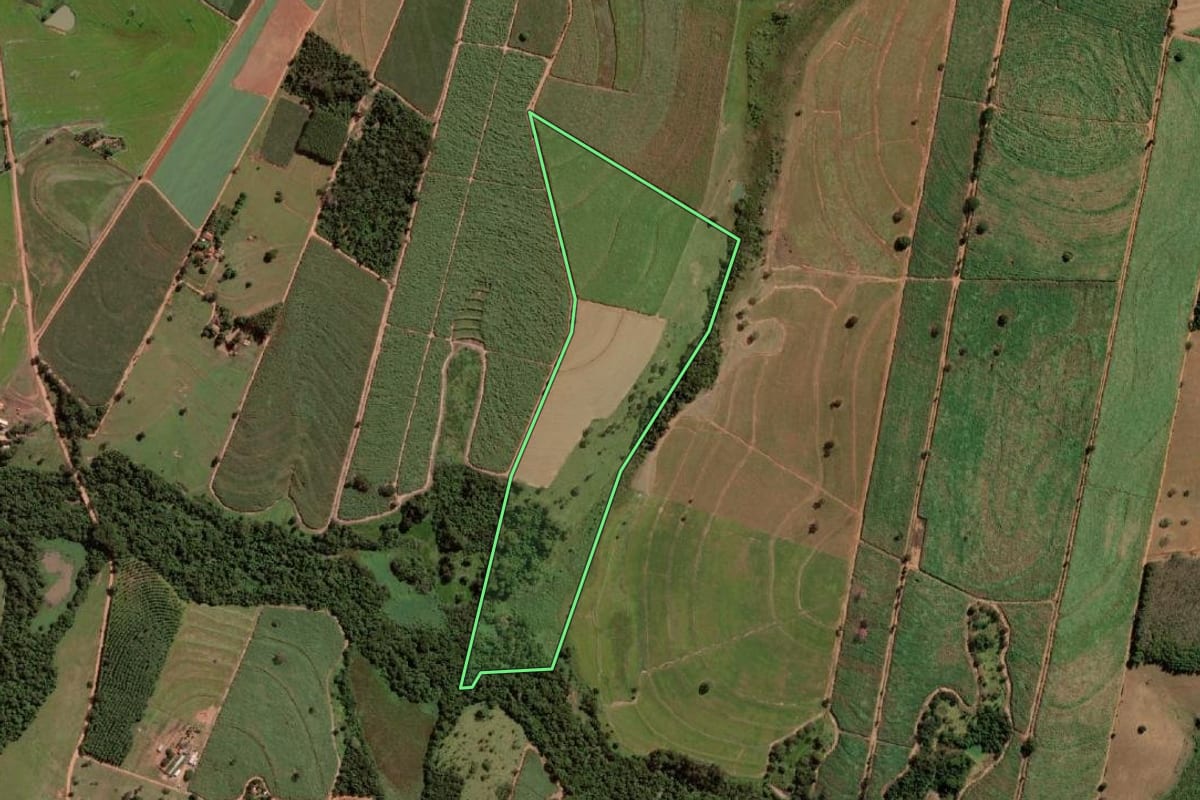 Imagem de satélite do imóvel rural em Monte Aprazível (SP), com o contorno declarado no CAR desenhado por cima.