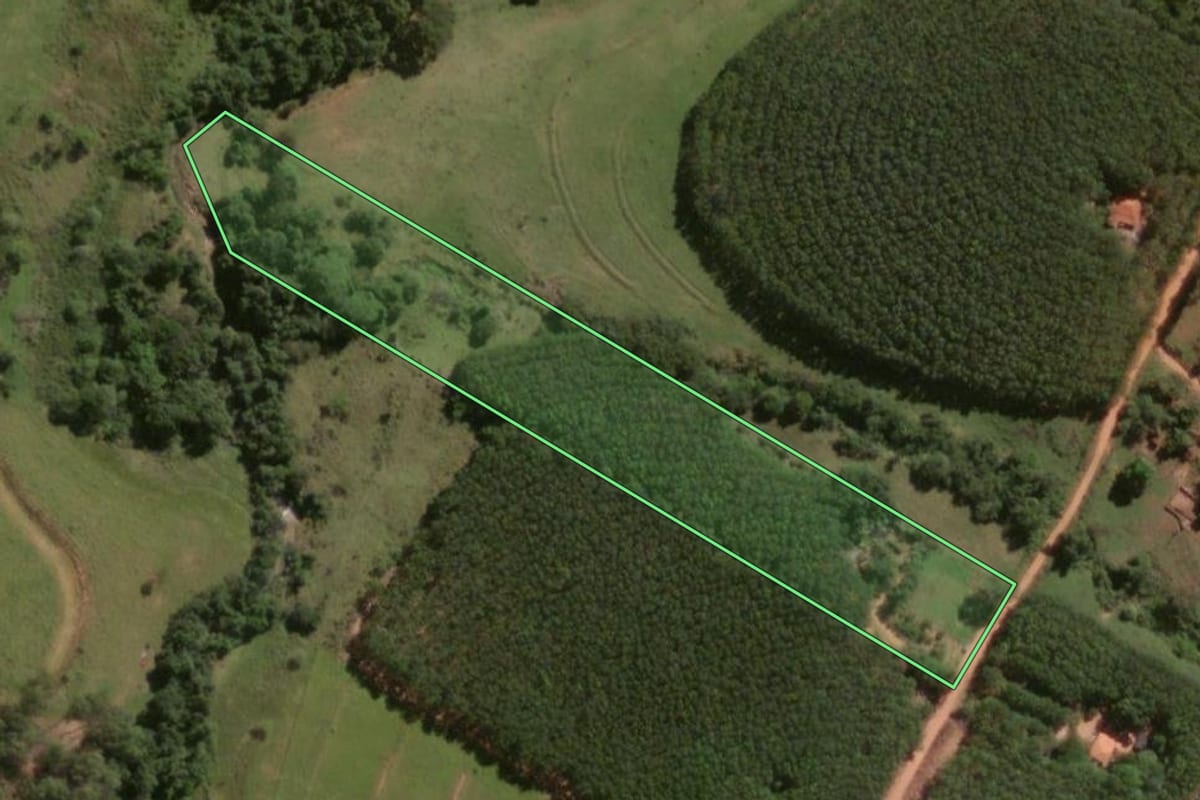 Imagem de satélite do imóvel rural em Monte Aprazível (SP), com o contorno declarado no CAR desenhado por cima.