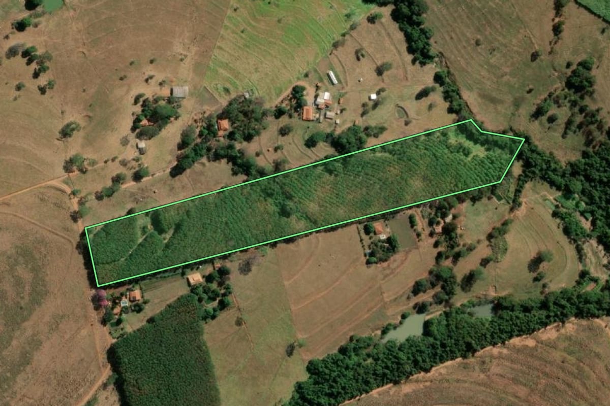 Imagem de satélite do imóvel rural em Monte Aprazível (SP), com o contorno declarado no CAR desenhado por cima.