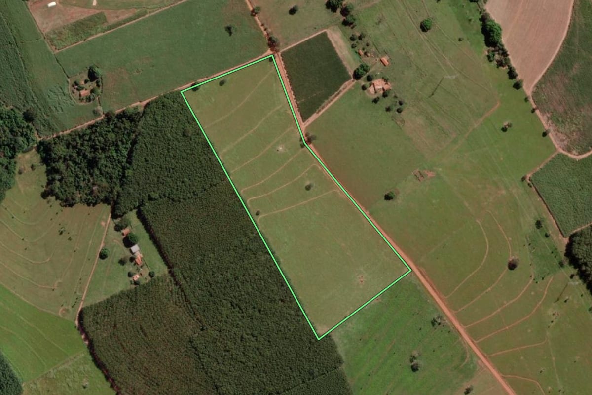 Imagem de satélite do imóvel rural em Monte Aprazível (SP), com o contorno declarado no CAR desenhado por cima.