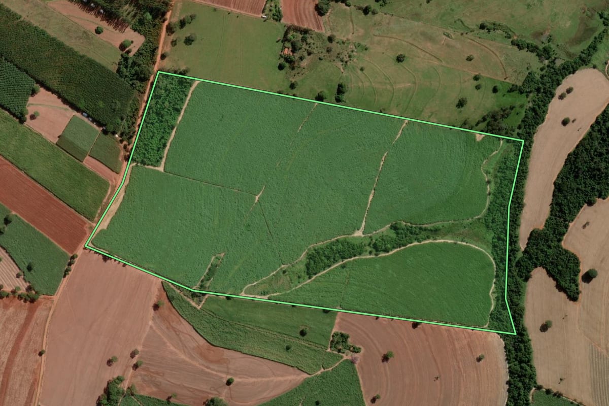 Imagem de satélite do imóvel rural em Monte Aprazível (SP), com o contorno declarado no CAR desenhado por cima.
