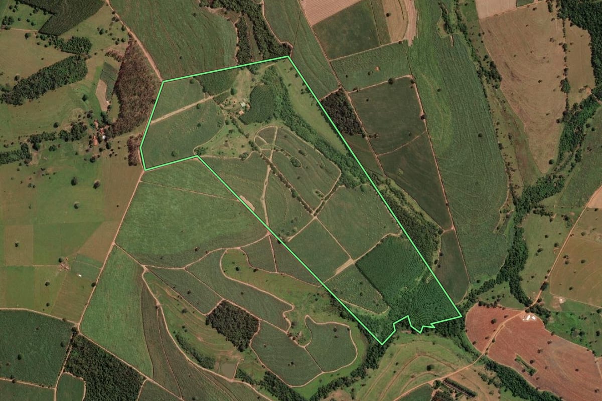 Imagem de satélite do imóvel rural em Monte Aprazível (SP), com o contorno declarado no CAR desenhado por cima.