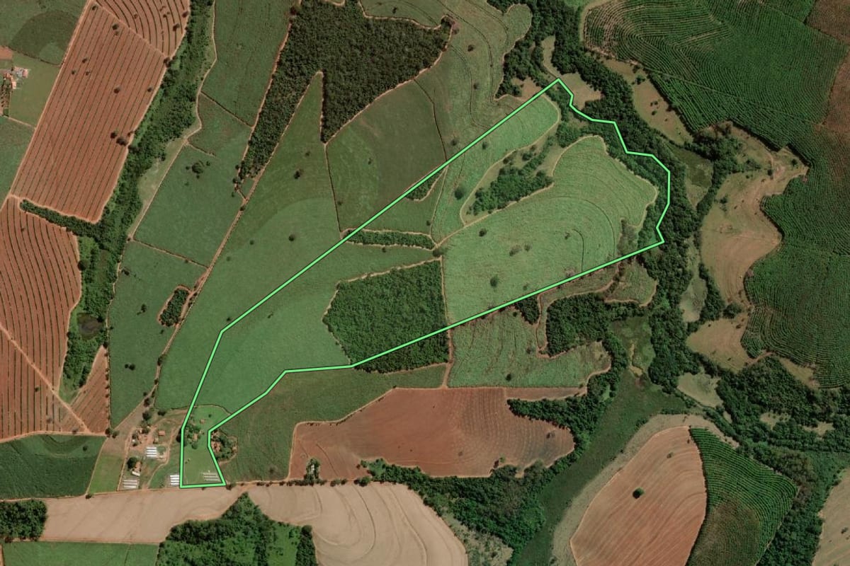 Imagem de satélite do imóvel rural em Monte Aprazível (SP), com o contorno declarado no CAR desenhado por cima.