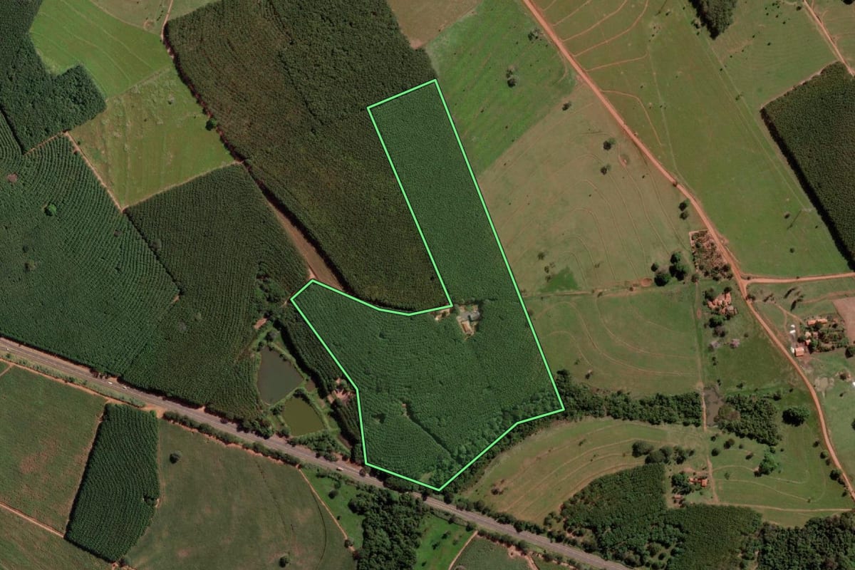 Imagem de satélite do imóvel rural em Monte Aprazível (SP), com o contorno declarado no CAR desenhado por cima.