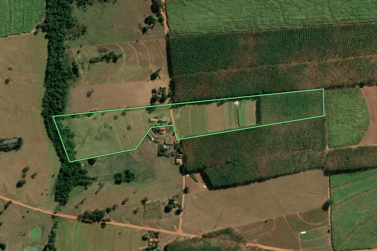 Imagem de satélite do imóvel rural em Monte Aprazível (SP), com o contorno declarado no CAR desenhado por cima.