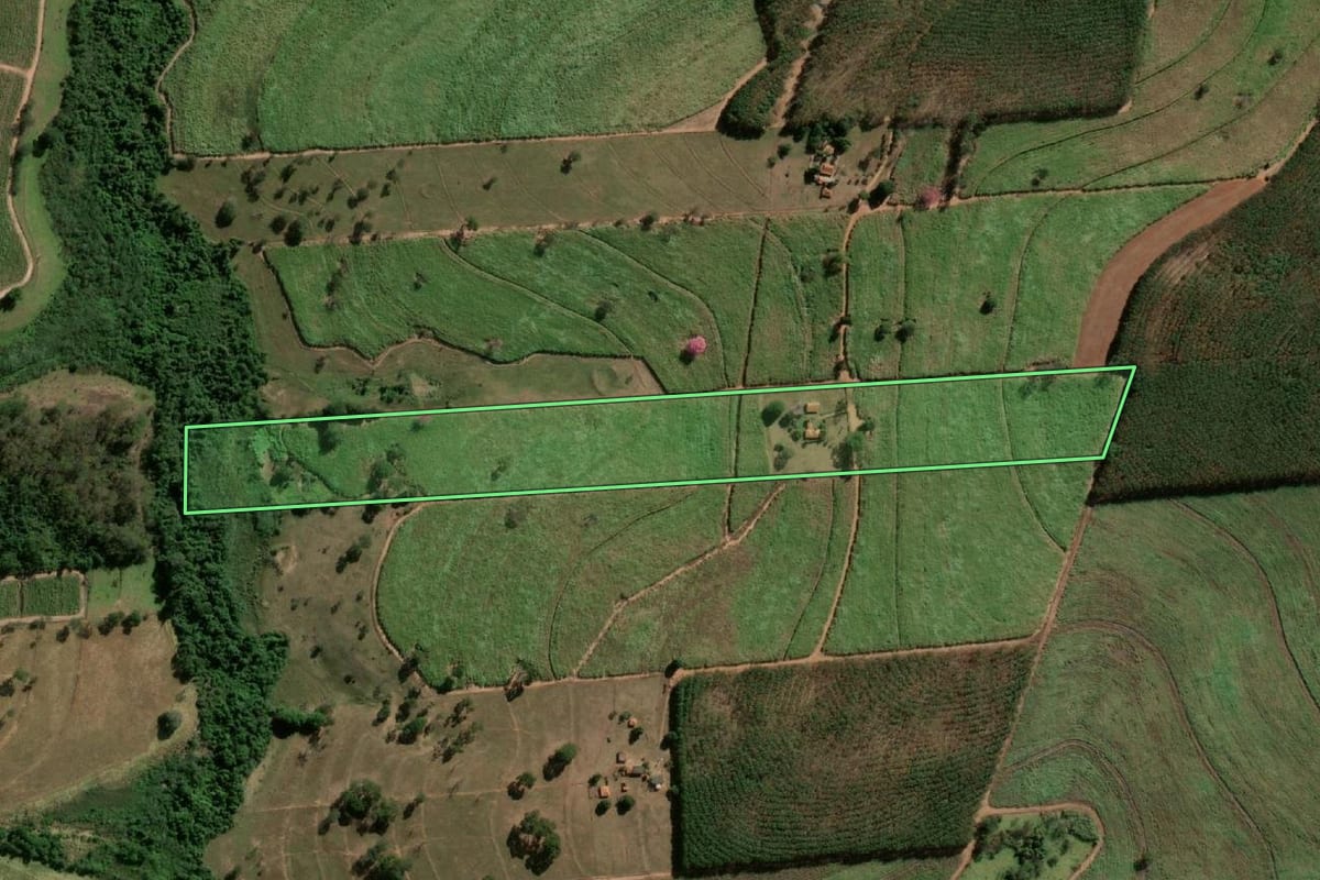 Imagem de satélite do imóvel rural em Monte Aprazível (SP), com o contorno declarado no CAR desenhado por cima.