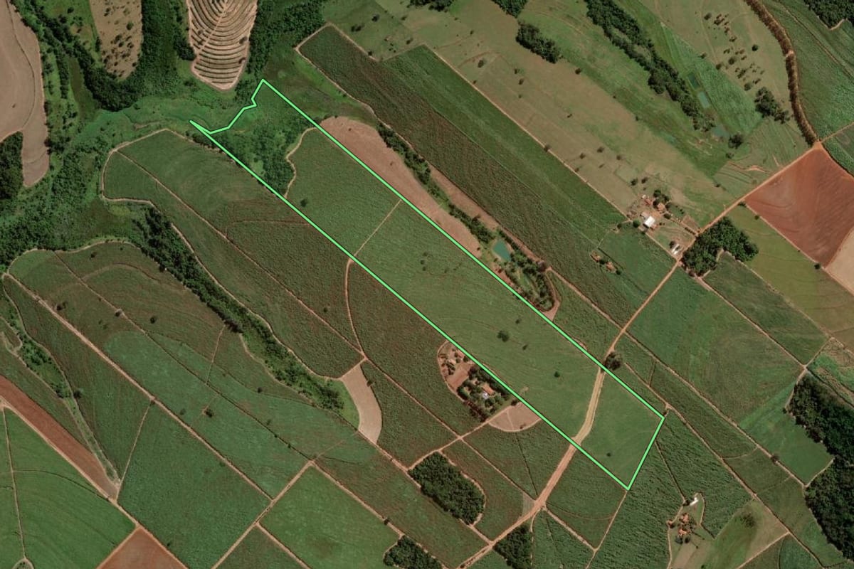 Imagem de satélite do imóvel rural em Monte Aprazível (SP), com o contorno declarado no CAR desenhado por cima.