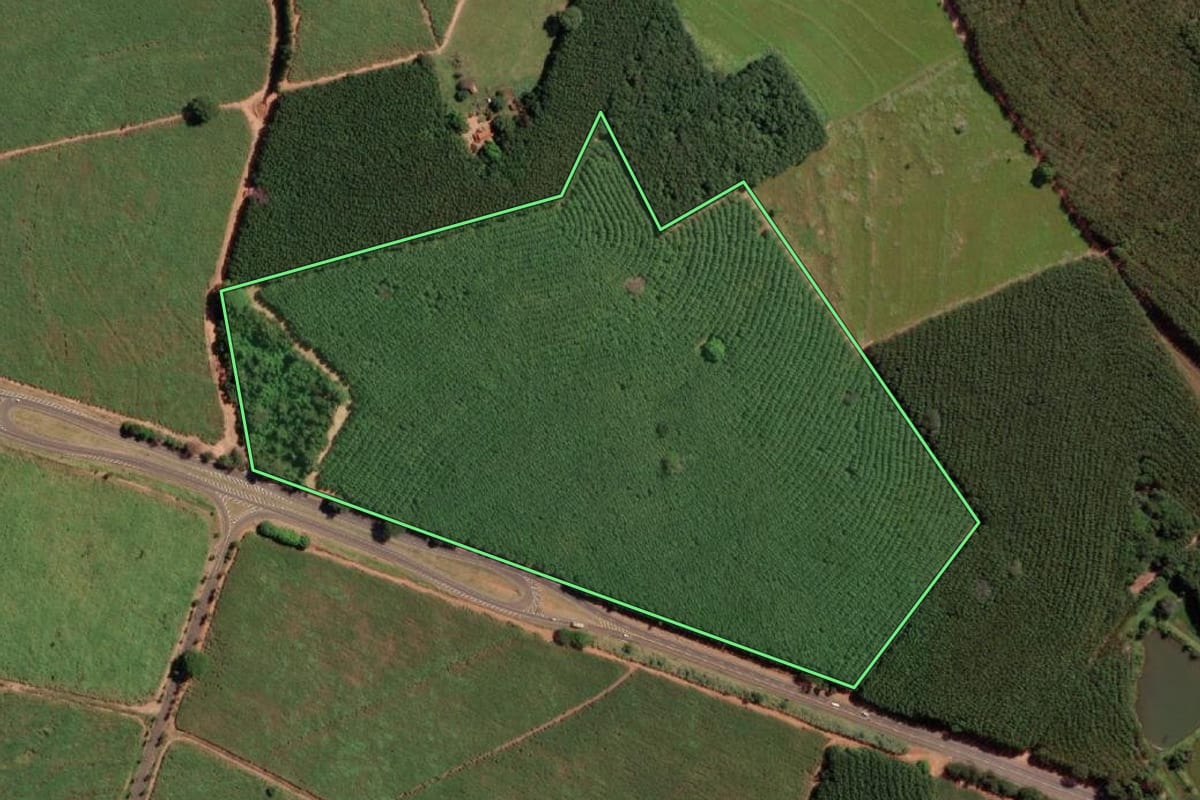 Imagem de satélite do imóvel rural em Monte Aprazível (SP), com o contorno declarado no CAR desenhado por cima.