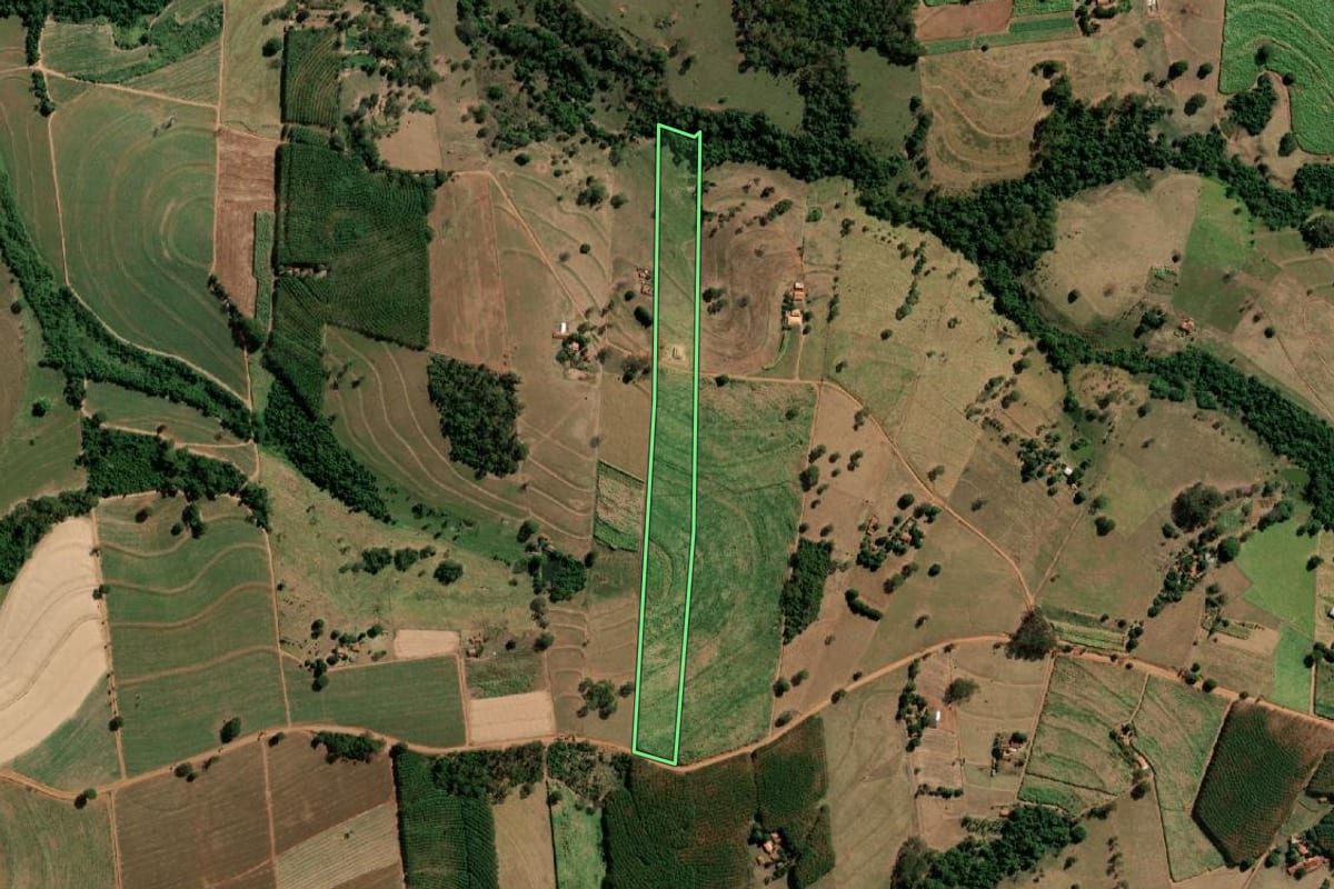 Imagem de satélite do imóvel rural em Monte Aprazível (SP), com o contorno declarado no CAR desenhado por cima.