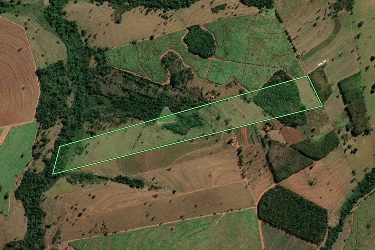 Imagem de satélite do imóvel rural em Monte Aprazível (SP), com o contorno declarado no CAR desenhado por cima.