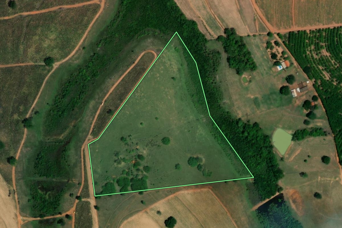 Imagem de satélite do imóvel rural em Monte Aprazível (SP), com o contorno declarado no CAR desenhado por cima.