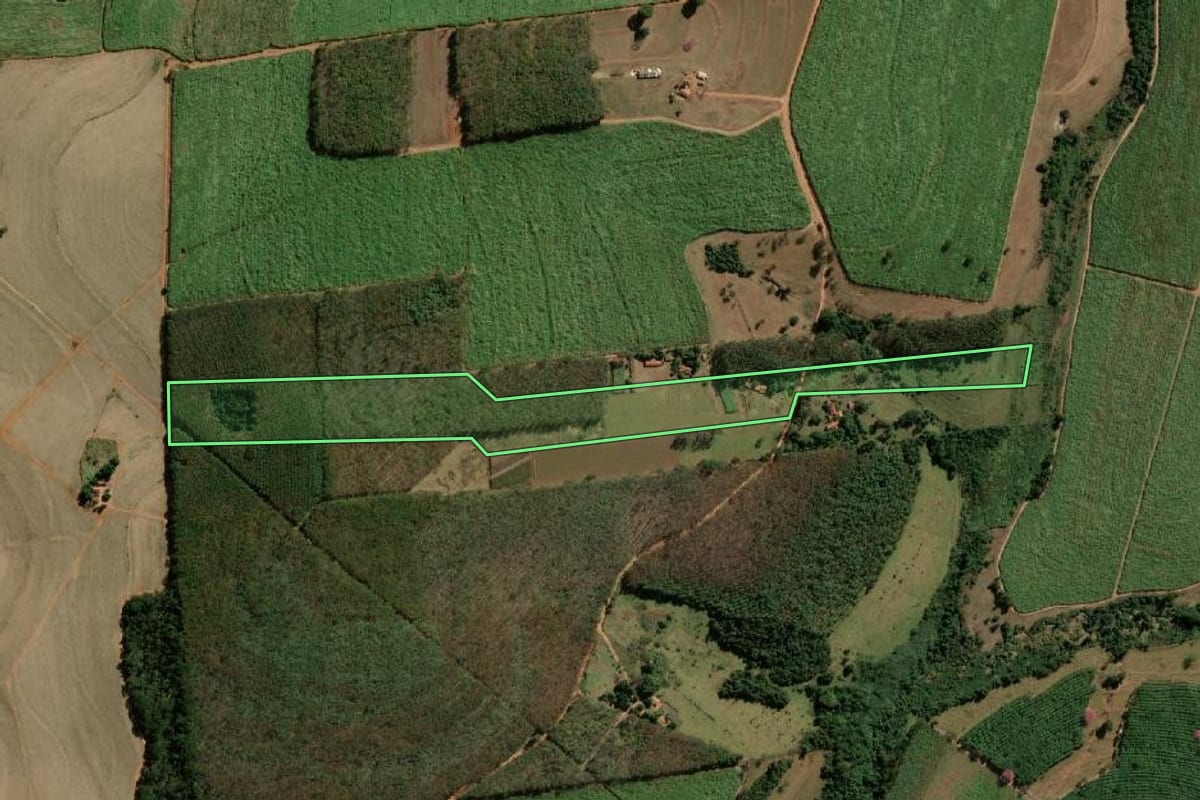 Imagem de satélite do imóvel rural em Monte Aprazível (SP), com o contorno declarado no CAR desenhado por cima.