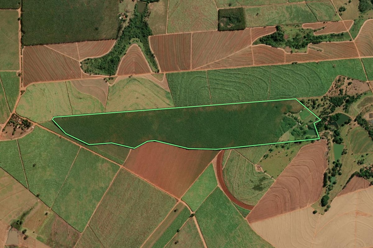 Imagem de satélite do imóvel rural em Monte Aprazível (SP), com o contorno declarado no CAR desenhado por cima.