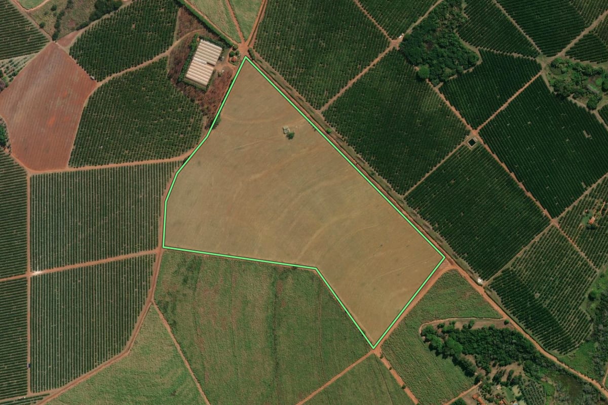Imagem de satélite do imóvel rural em Monte Azul Paulista (SP), com o contorno declarado no CAR desenhado por cima.