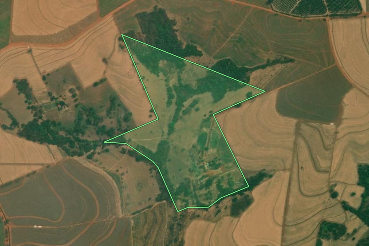 Imagem de satélite do imóvel rural em Monte Azul Paulista (SP), com o contorno declarado no CAR desenhado por cima.