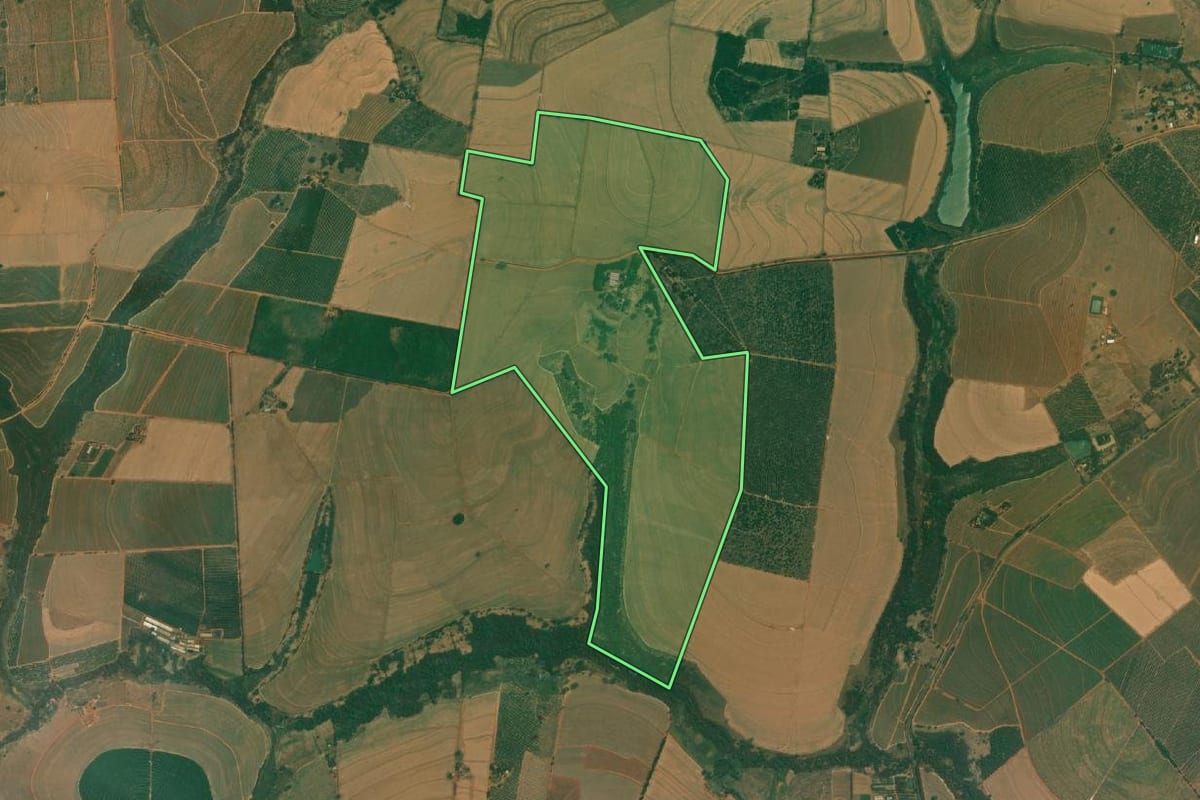 Imagem de satélite do imóvel rural em Monte Azul Paulista (SP), com o contorno declarado no CAR desenhado por cima.