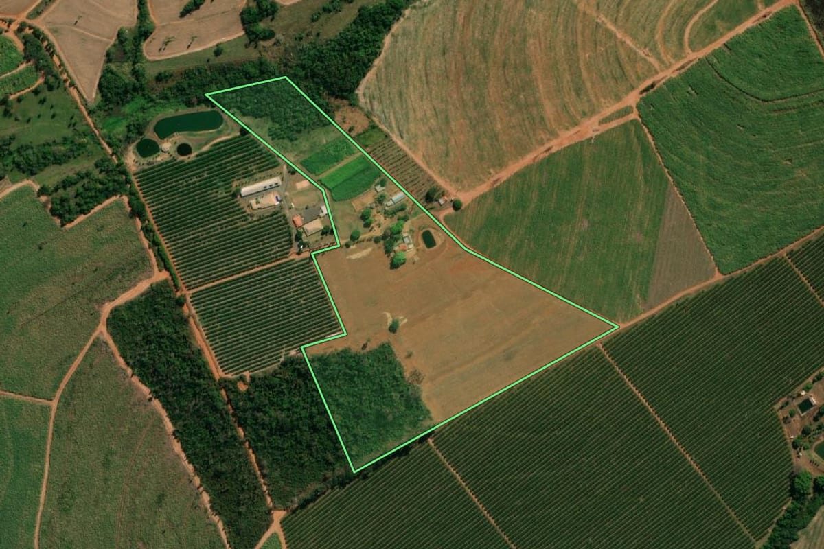 Imagem de satélite do imóvel rural em Monte Azul Paulista (SP), com o contorno declarado no CAR desenhado por cima.