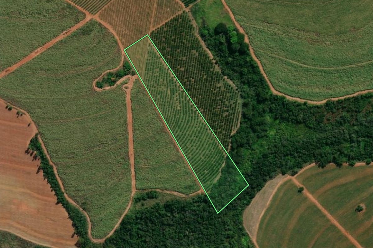 Imagem de satélite do imóvel rural em Monte Azul Paulista (SP), com o contorno declarado no CAR desenhado por cima.