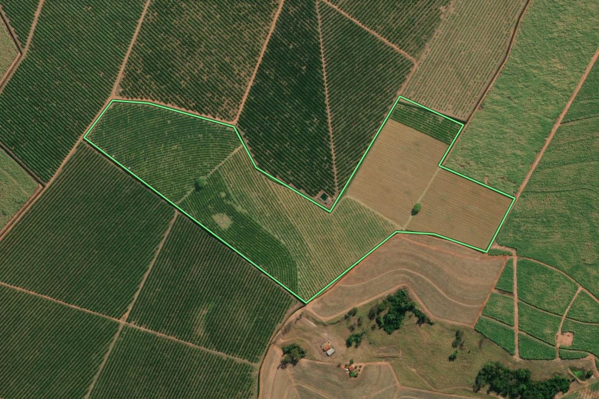 Imagem de satélite do imóvel rural em Monte Azul Paulista (SP), com o contorno declarado no CAR desenhado por cima.