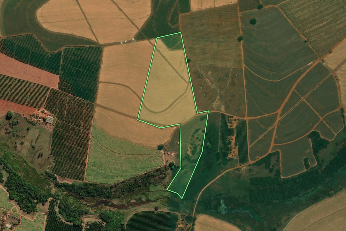 Imagem de satélite do imóvel rural em Monte Azul Paulista (SP), com o contorno declarado no CAR desenhado por cima.