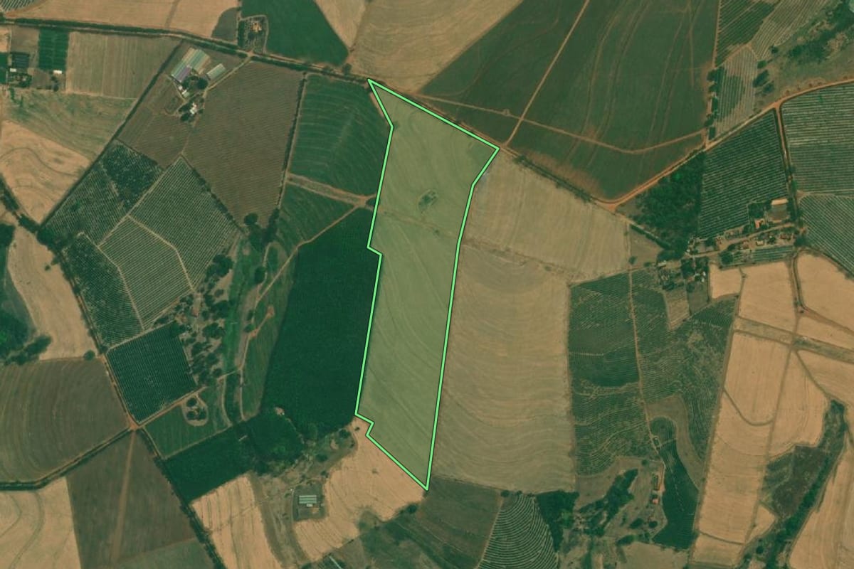 Imagem de satélite do imóvel rural em Monte Azul Paulista (SP), com o contorno declarado no CAR desenhado por cima.