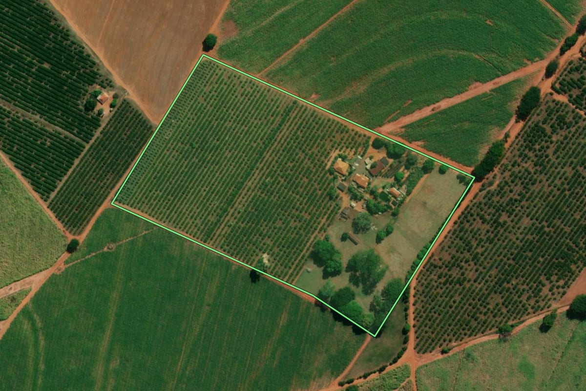 Imagem de satélite do imóvel rural em Monte Azul Paulista (SP), com o contorno declarado no CAR desenhado por cima.