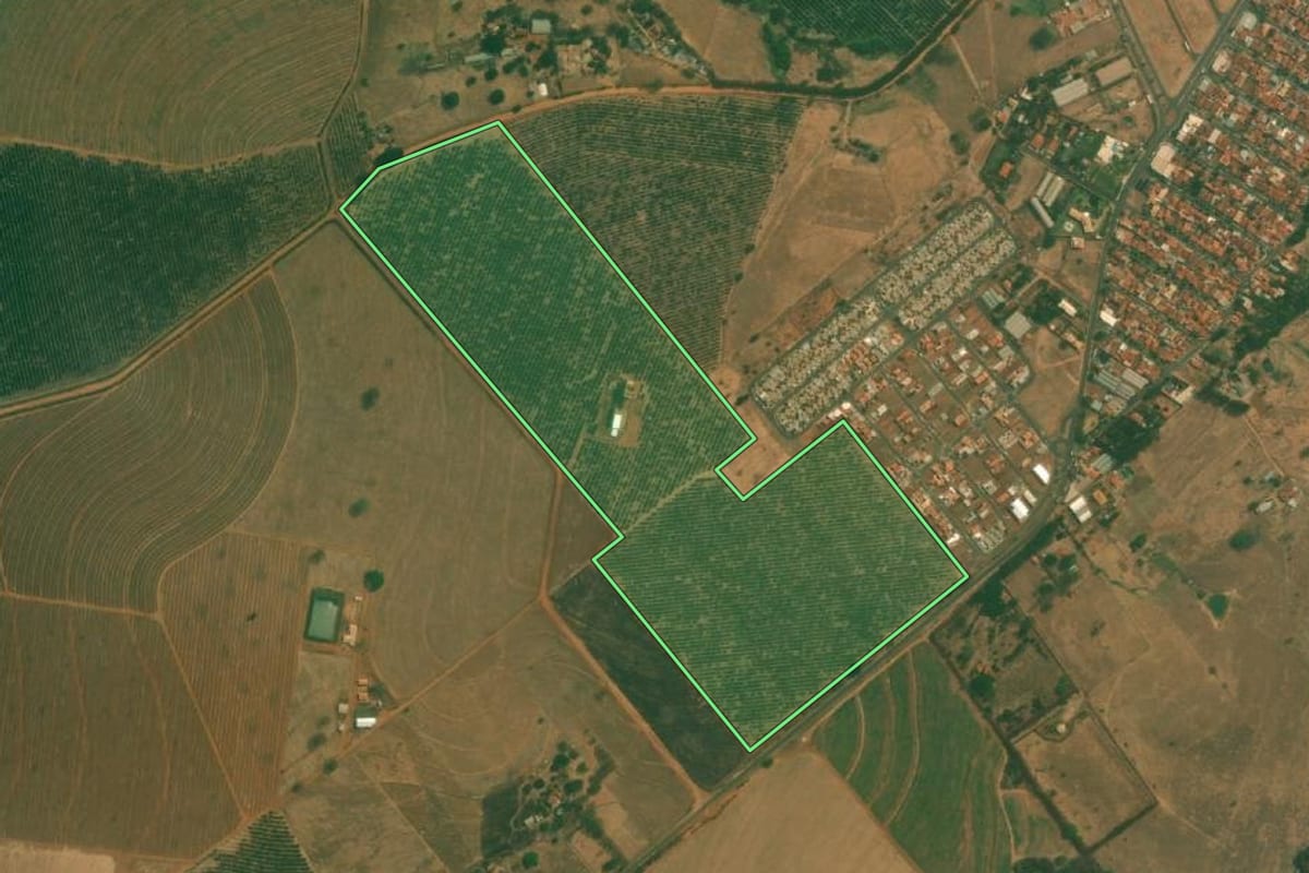 Imagem de satélite do imóvel rural em Monte Azul Paulista (SP), com o contorno declarado no CAR desenhado por cima.