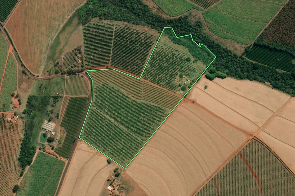 Imagem de satélite do imóvel rural em Monte Azul Paulista (SP), com o contorno declarado no CAR desenhado por cima.