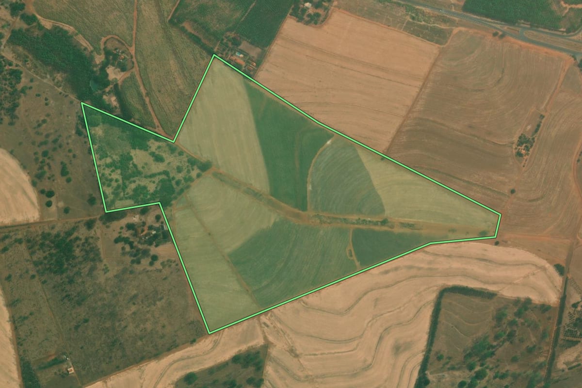 Imagem de satélite do imóvel rural em Monte Azul Paulista (SP), com o contorno declarado no CAR desenhado por cima.