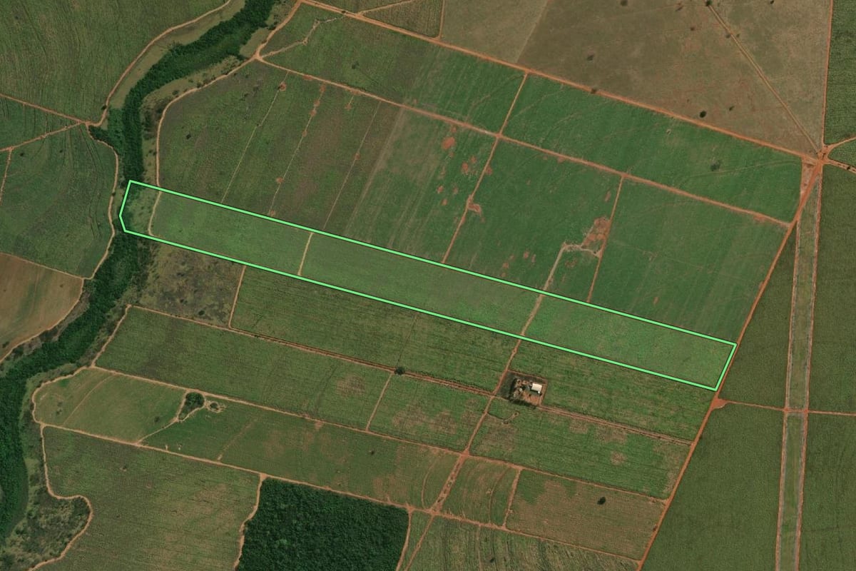 Imagem de satélite do imóvel rural em Monte Castelo (SP), com o contorno declarado no CAR desenhado por cima.