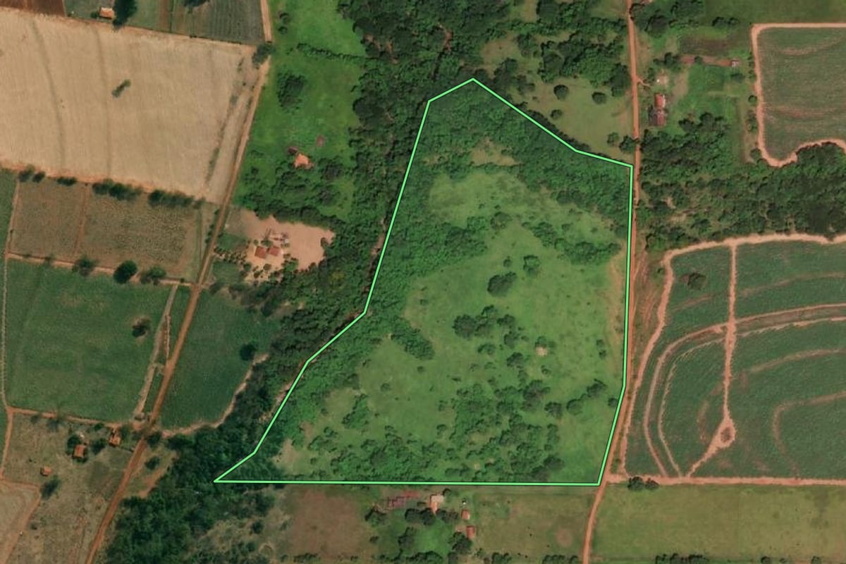 Imagem de satélite do imóvel rural em Monte Castelo (SP), com o contorno declarado no CAR desenhado por cima.