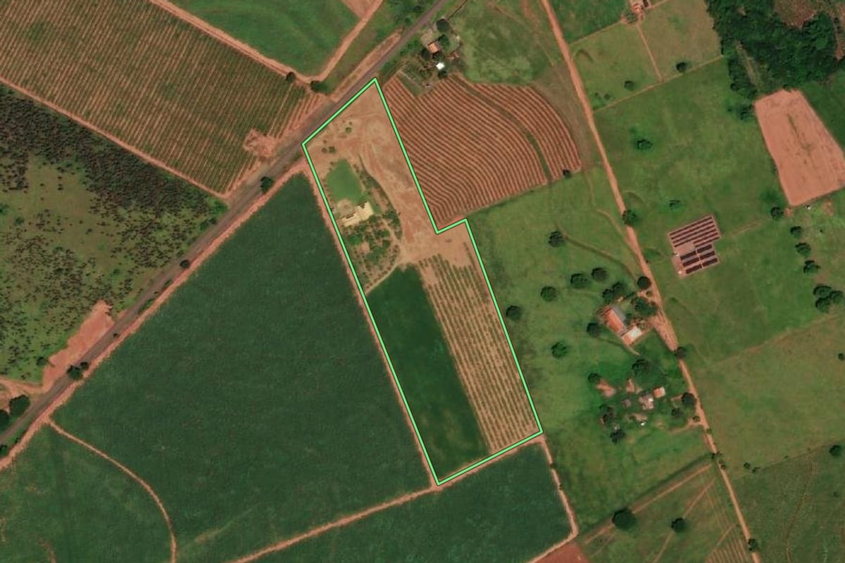 Imagem de satélite do imóvel rural em Monte Castelo (SP), com o contorno declarado no CAR desenhado por cima.