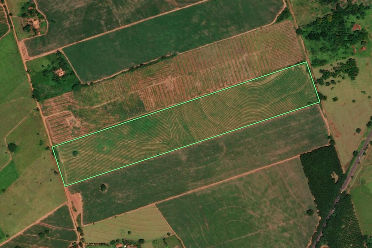 Imagem de satélite do imóvel rural em Monte Castelo (SP), com o contorno declarado no CAR desenhado por cima.