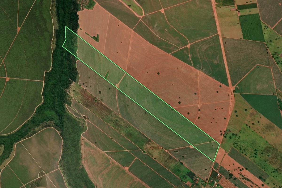 Imagem de satélite do imóvel rural em Monte Castelo (SP), com o contorno declarado no CAR desenhado por cima.