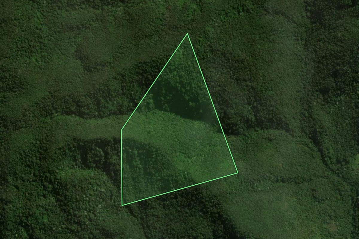 Imagem de satélite do imóvel rural em Monteiro Lobato (SP), com o contorno declarado no CAR desenhado por cima.