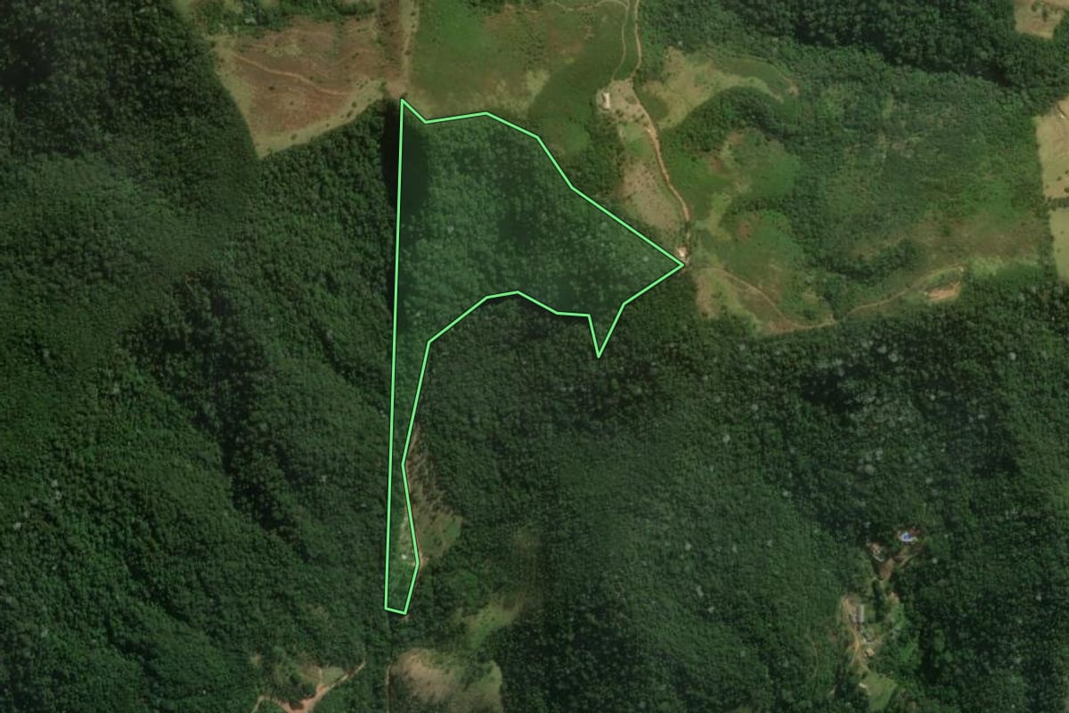 Imagem de satélite do imóvel rural em Monteiro Lobato (SP), com o contorno declarado no CAR desenhado por cima.