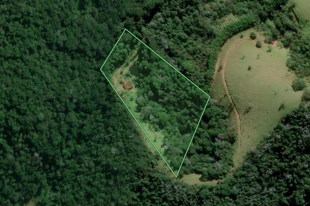 Imagem de satélite do imóvel rural em Monteiro Lobato (SP), com o contorno declarado no CAR desenhado por cima.