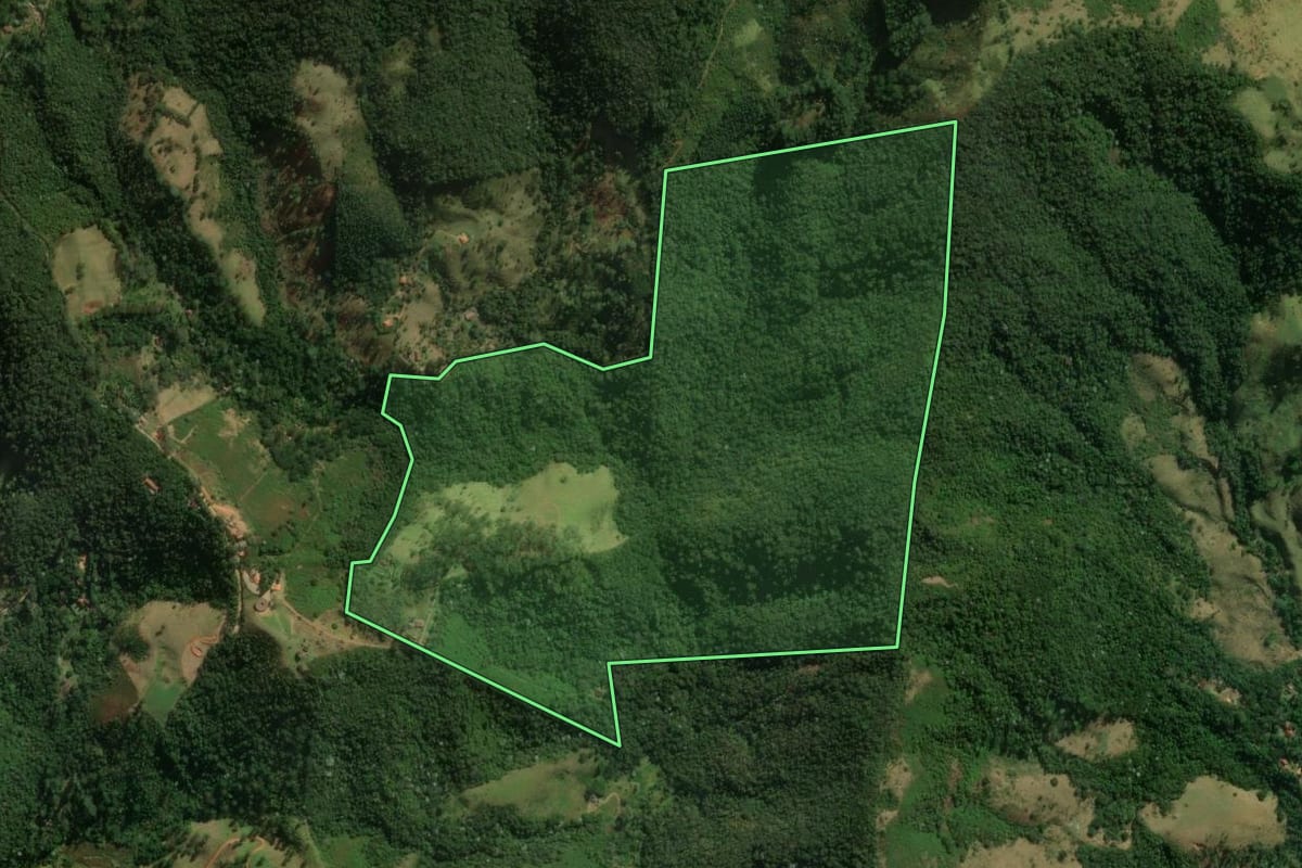 Imagem de satélite do imóvel rural em Monteiro Lobato (SP), com o contorno declarado no CAR desenhado por cima.