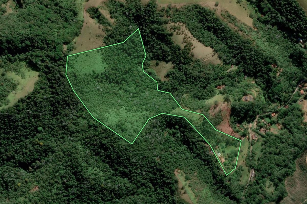 Imagem de satélite do imóvel rural em Monteiro Lobato (SP), com o contorno declarado no CAR desenhado por cima.