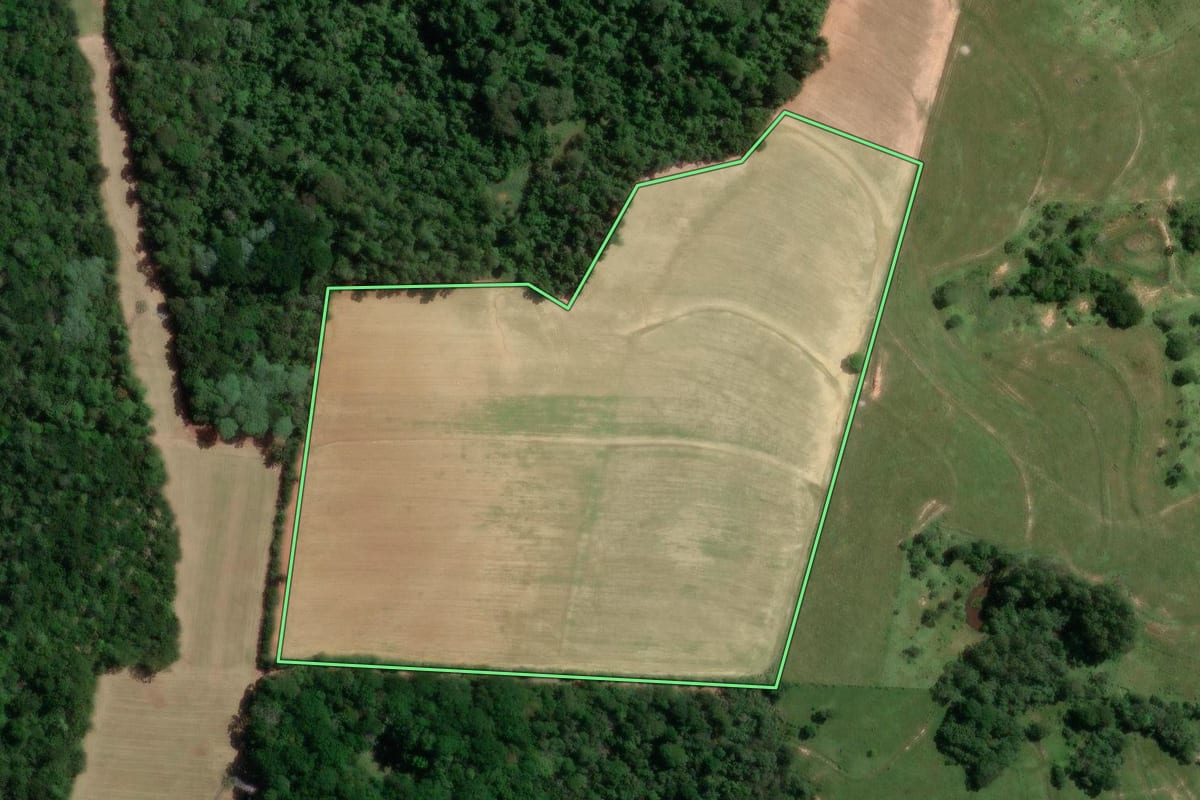 Imagem de satélite do imóvel rural em Monte Mor (SP), com o contorno declarado no CAR desenhado por cima.