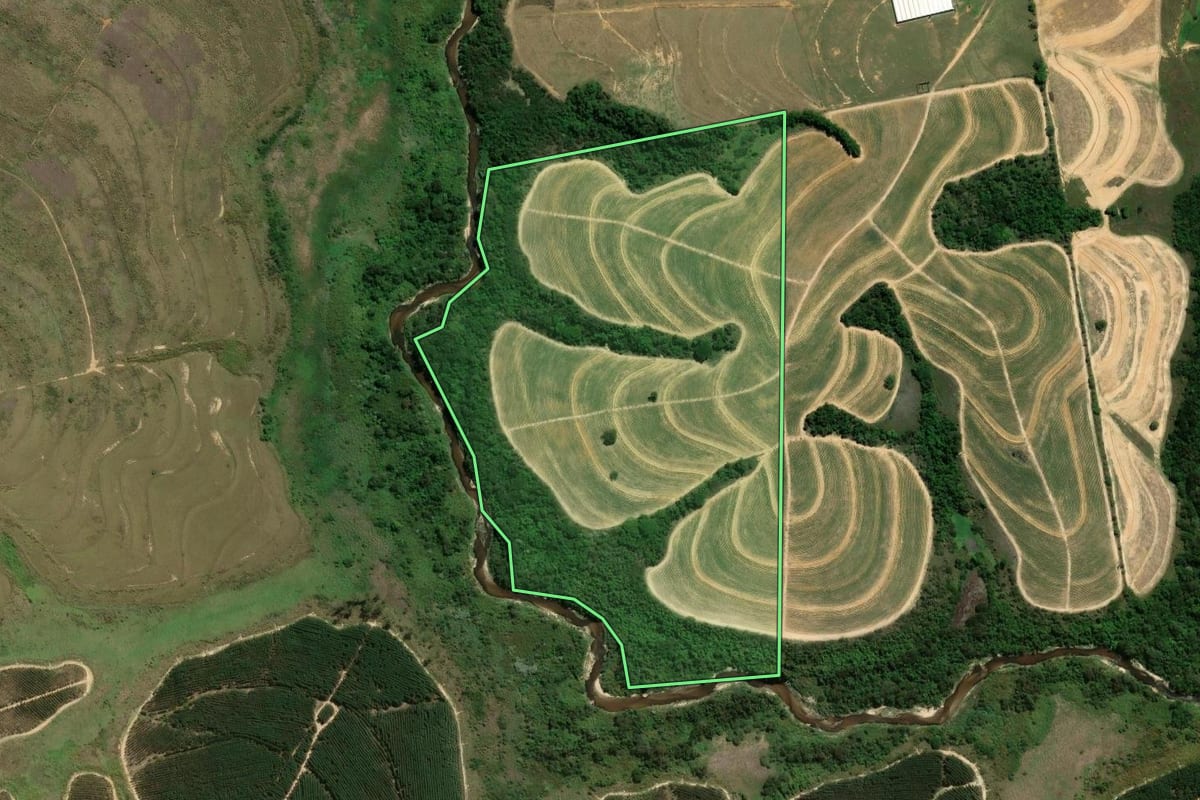 Imagem de satélite do imóvel rural em Monte Mor (SP), com o contorno declarado no CAR desenhado por cima.