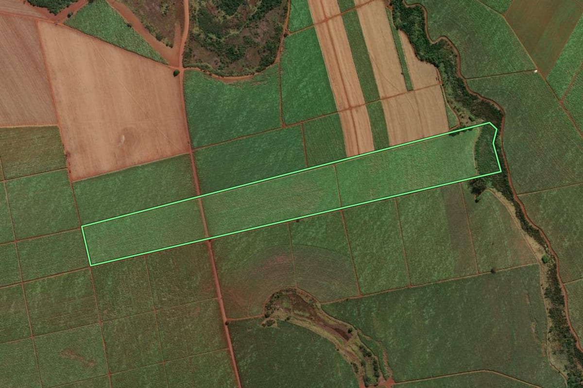Imagem de satélite do imóvel rural em Morro Agudo (SP), com o contorno declarado no CAR desenhado por cima.
