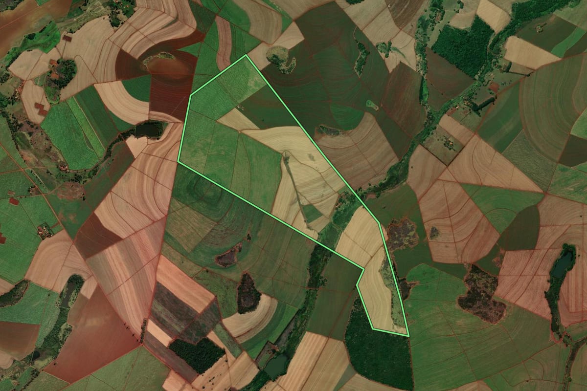 Imagem de satélite do imóvel rural em Morro Agudo (SP), com o contorno declarado no CAR desenhado por cima.