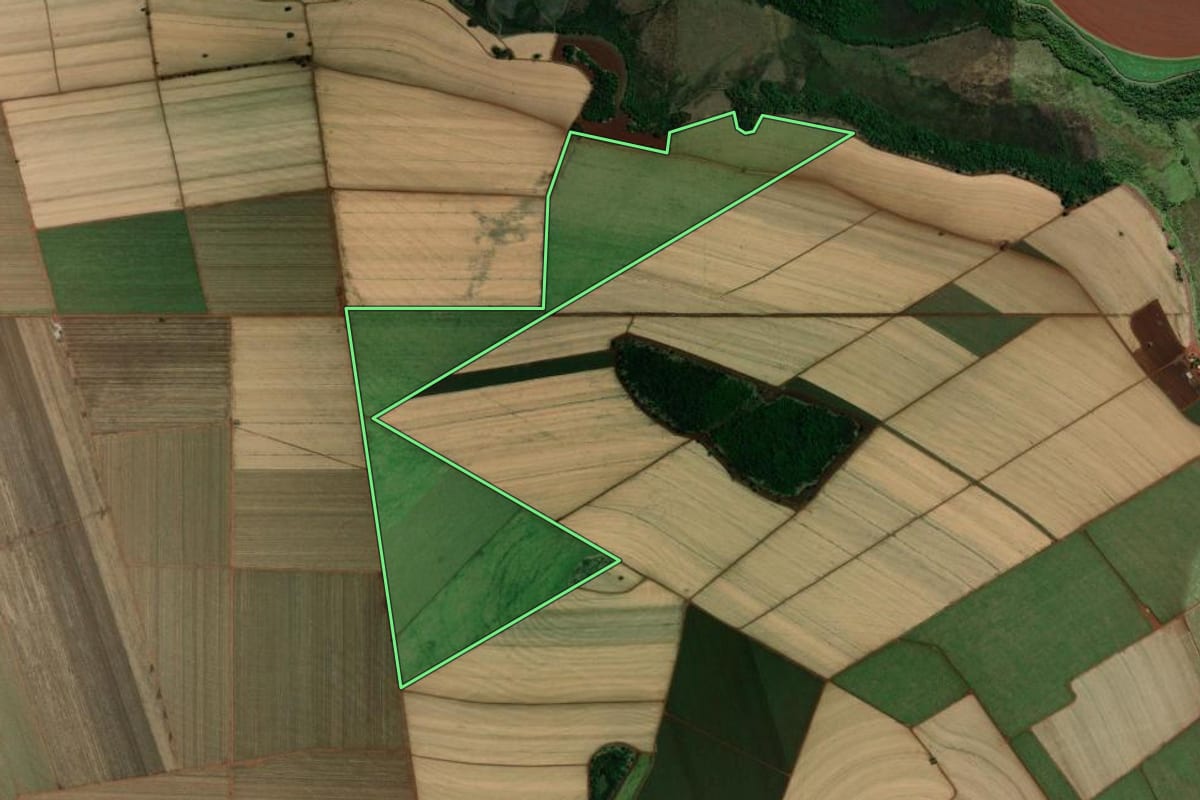 Imagem de satélite do imóvel rural em Morro Agudo (SP), com o contorno declarado no CAR desenhado por cima.