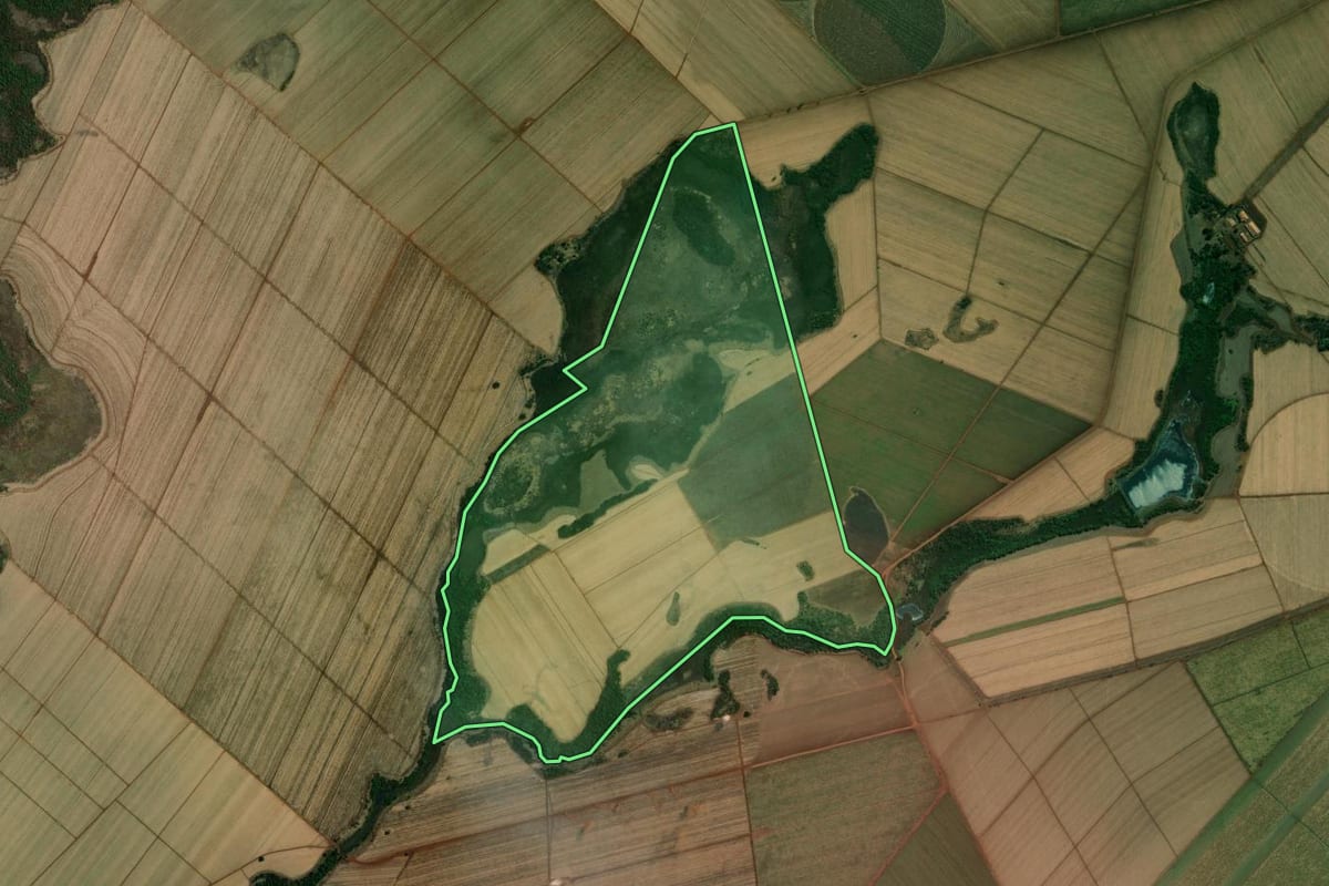 Imagem de satélite do imóvel rural em Morro Agudo (SP), com o contorno declarado no CAR desenhado por cima.