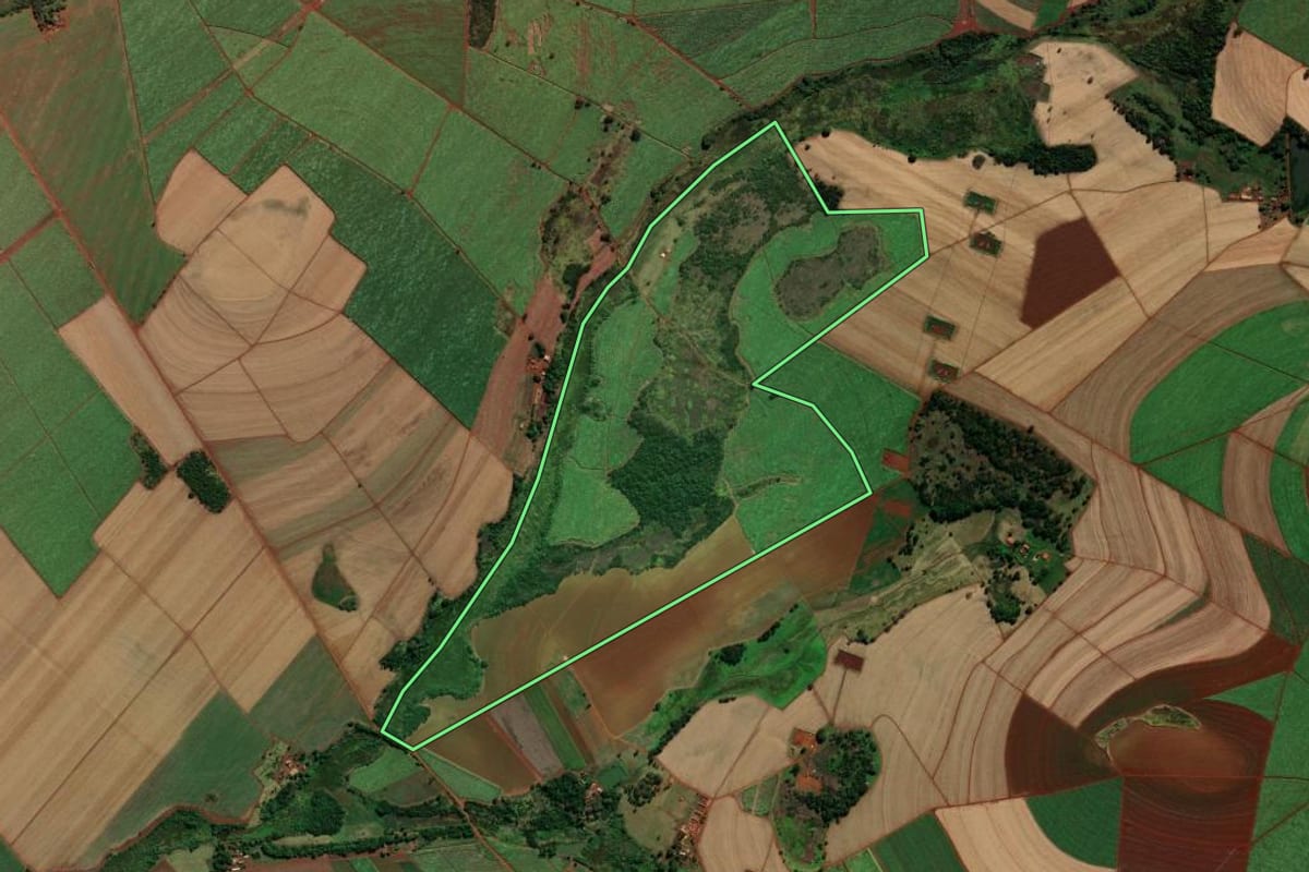 Imagem de satélite do imóvel rural em Morro Agudo (SP), com o contorno declarado no CAR desenhado por cima.