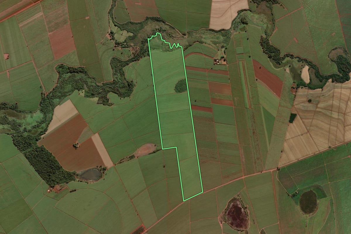Imagem de satélite do imóvel rural em Morro Agudo (SP), com o contorno declarado no CAR desenhado por cima.