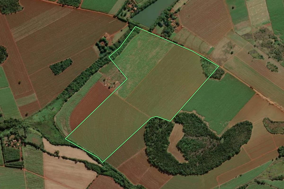 Imagem de satélite do imóvel rural em Morro Agudo (SP), com o contorno declarado no CAR desenhado por cima.